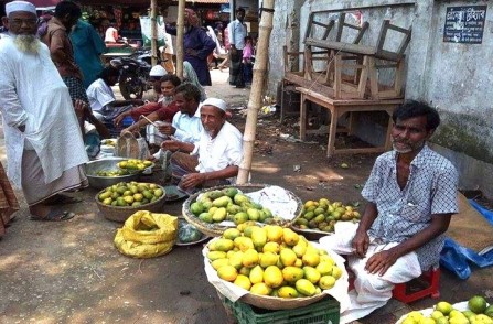 তাড়াশে আমের কেজি ১৫ টাকা