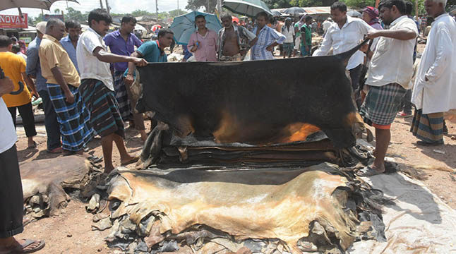 ‘চীনে চামড়া রপ্তানির অনেক এলসি বাতিল’