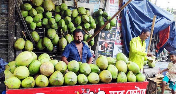 এক লিটার কচি ডাবের পানির দাম ৪৮০ টাকা