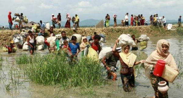 আবারও বাংলাদেশে রোহিঙ্গা প্রবেশ, বিজিবি’র বাধা