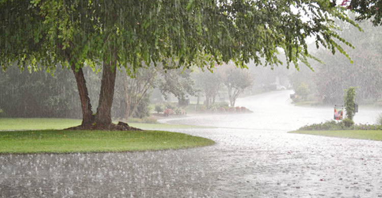 সহসায় যাচ্ছে না বৃষ্টি আরো যত দিন থাকছে