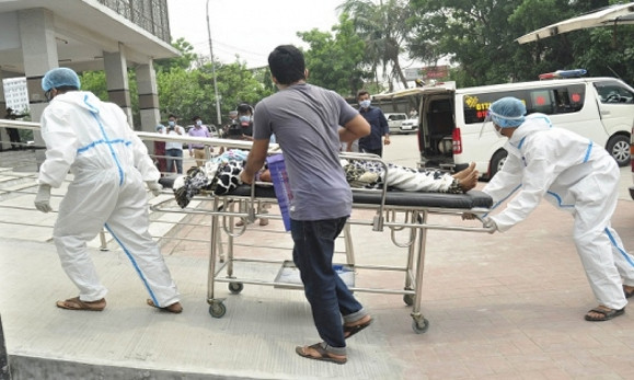 এইমাত্র পাওয়া : দেশের এক বিভাগেই গত ২৪ ঘণ্টায় ৫১ জনের মৃত্যু