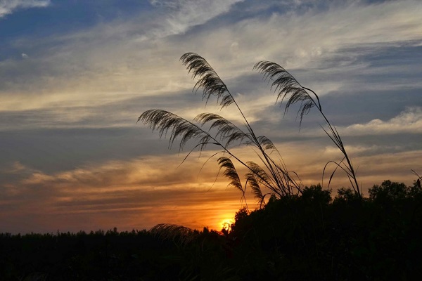 একটি সুন্দর দিন কাটাতে সকালে যে আমল করবেন