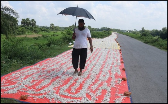 অভিনব এক ব্যবসা— মাছের আঁশ রপ্তানি