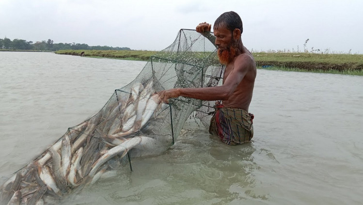 জেলের এক জালে ৯২ মণ ইলিশ, বিক্রি হল লক্ষ্য টাকা