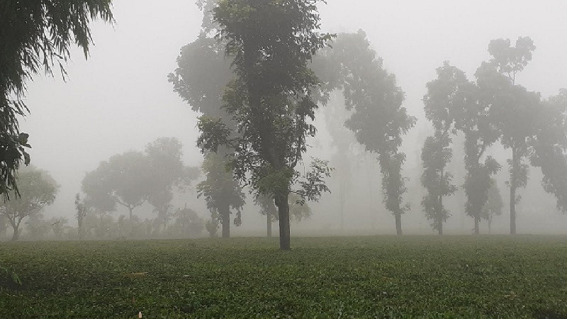 আগামী ৫ দিনের মধ্যে রাতের তাপমাত্রা কমবে, কিছু অঞ্চলে বৃষ্টির সম্ভাবনা