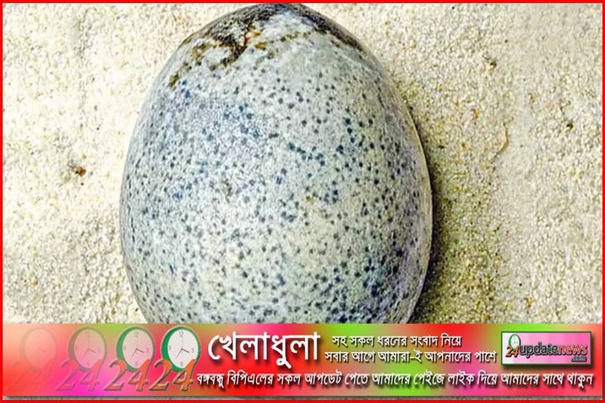 এবার মাটি খুঁড়ে মিলল ১৭০০ বছর আগের মুরগির ডিম