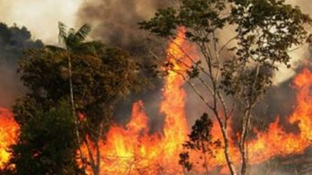 সুন্দরবনে দাউ দাউ আগুন: ৮ ঘণ্টা ধরে চলা ভয়াবহ অগ্নিকাণ্ড